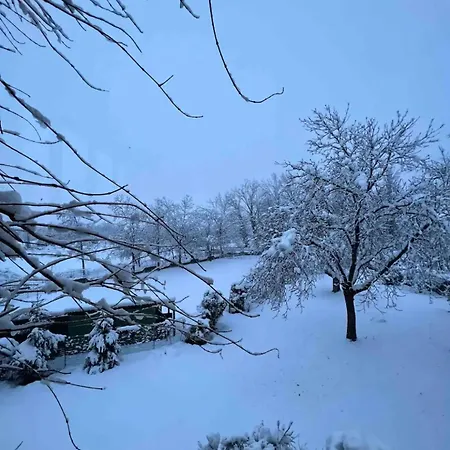 Appartement Alberto *