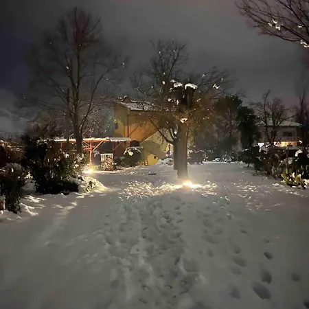 Alberto Appartement *